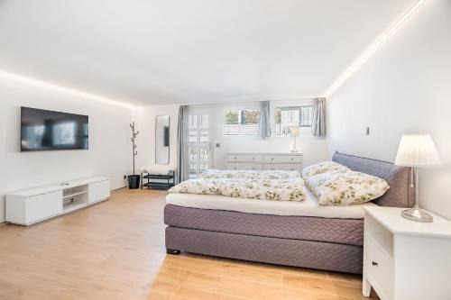 Renoviertes Studio oberhalb Visp mit Balkon und Bergblick