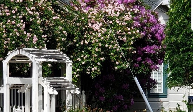 San Francisco Suburb French farmhouse - great location
