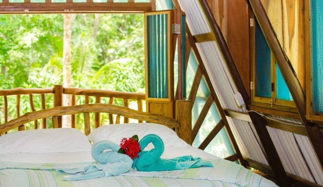 Secluded Beach Front Cabin in Jungle Setting.