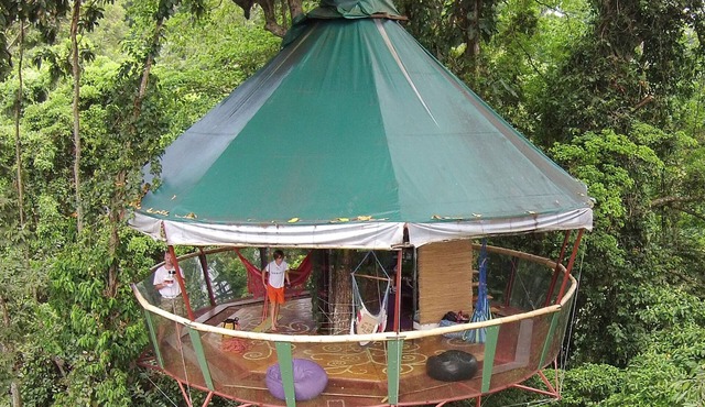 The Amazing Treehouse and Nature Observatorio in Manzanillo, Limon, Costa Rica
