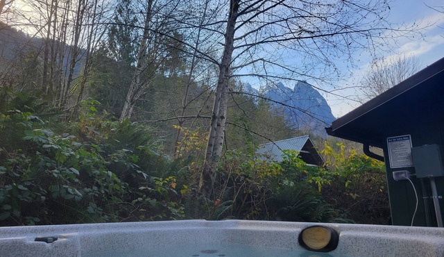 The Lily Pad - rustic cabin for 2+pets, mountain view, river access