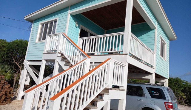 The Palm Tree Hideaway!