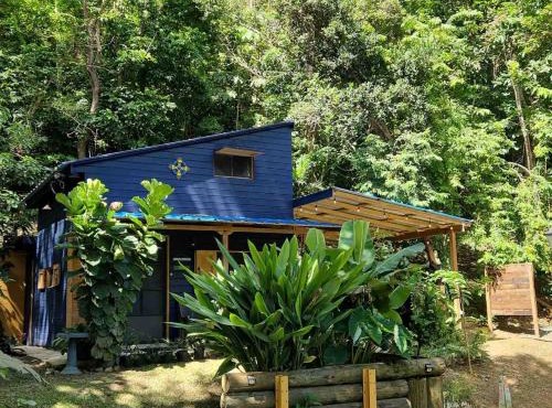 Tiny Cozy Mountain Cabin Peaceful Retreat in Cayey