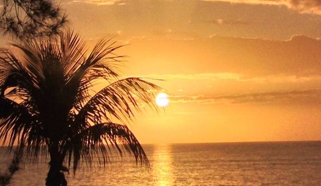 Vacation in paradise in Villa 607