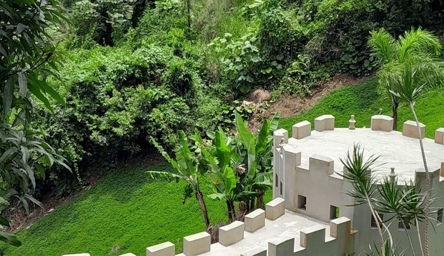 Villa Gringo Farms