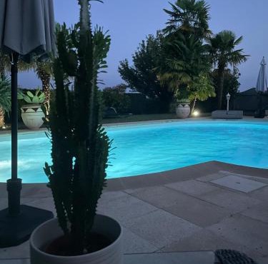 Villa palmeraie