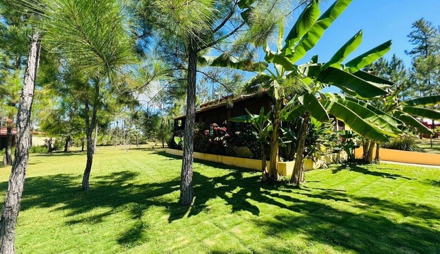 Villa with A/C & Pool in Mountain Pine Ridge. GOLD STANDARD CERTIFIED.