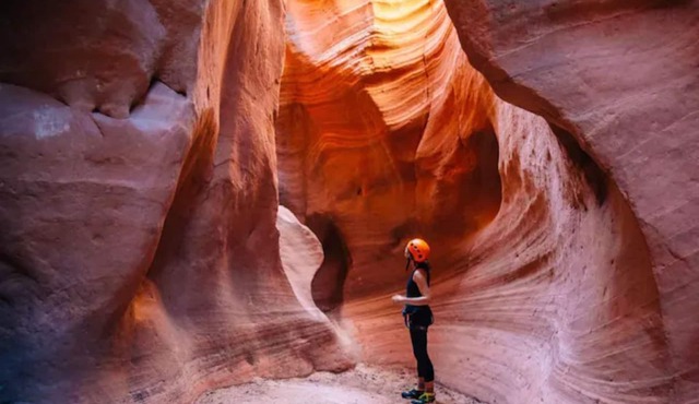 Virgin River Oasis - Located minutes from Zion NP