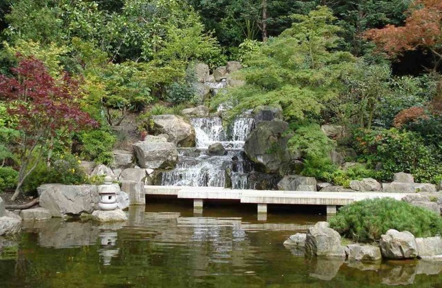 Park 
