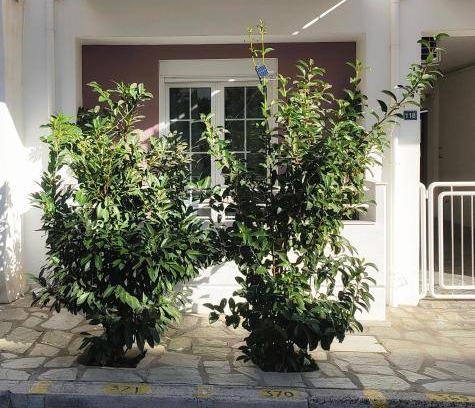 Volos Apartment | 40 m² Apartment ∙ 1 bedroom ∙ 4 guests