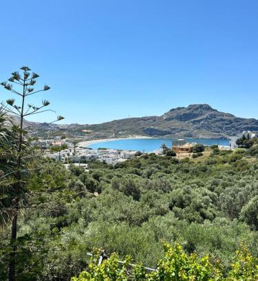 Agios Vasileios Apartment | Olive Grove