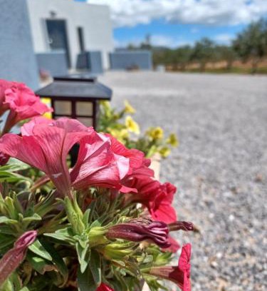 Vigklafia Hotel | Pounta Apartments