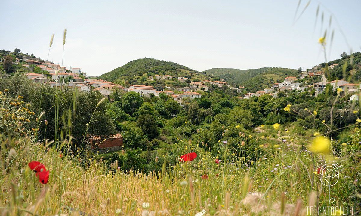Photo of Outdoor in Agii Apostoli