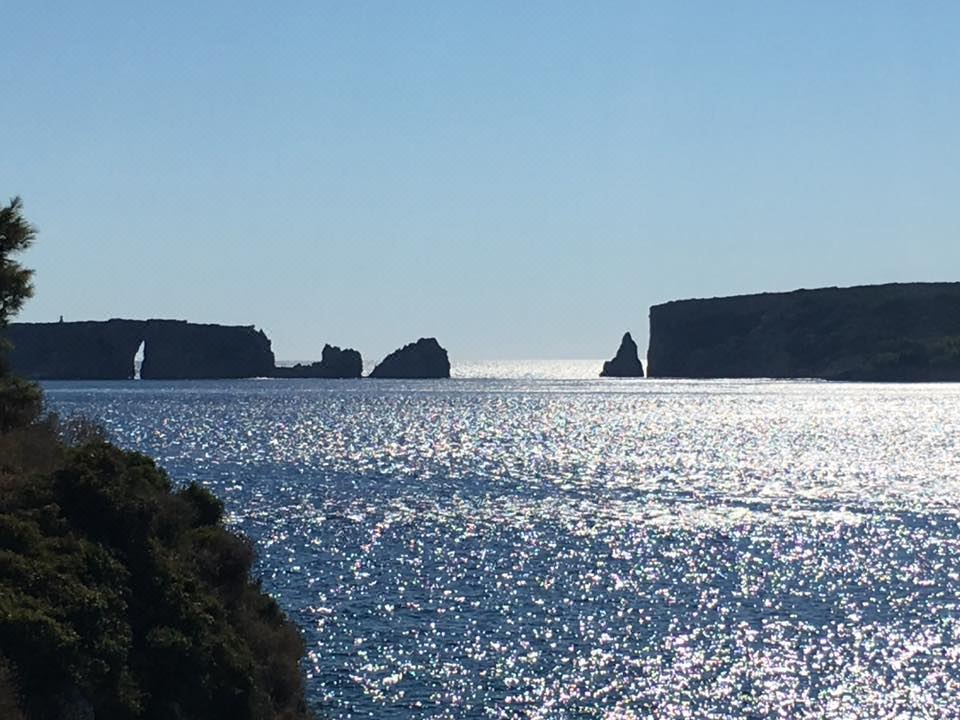 Photo of Others in Pylos
