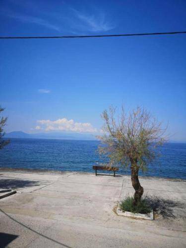 Photo of Others in Afissos
