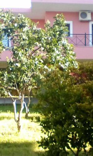 Photo of Others in Gouvia