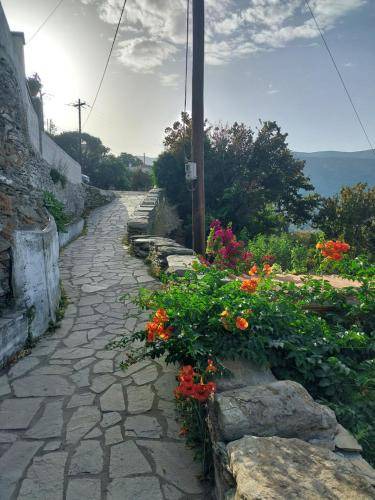 Photo of Others in Andros Town