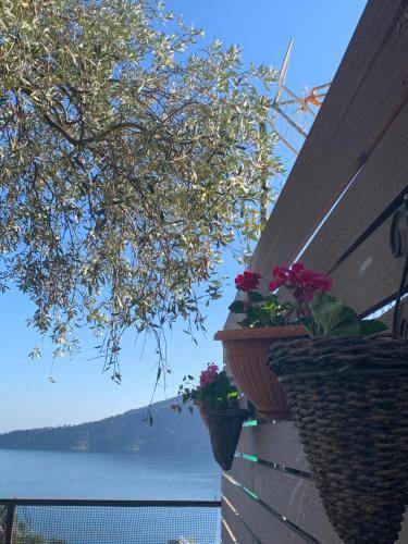 Photo of Patio Balcony in Golden Beach