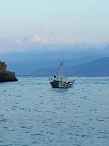 Photo of Others in Karystos