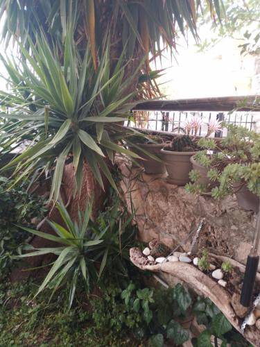 Photo of Others in Kallithea