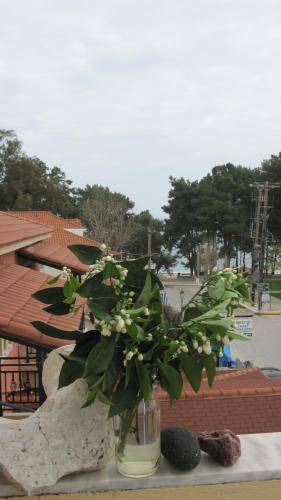 Photo of Others in Skala
