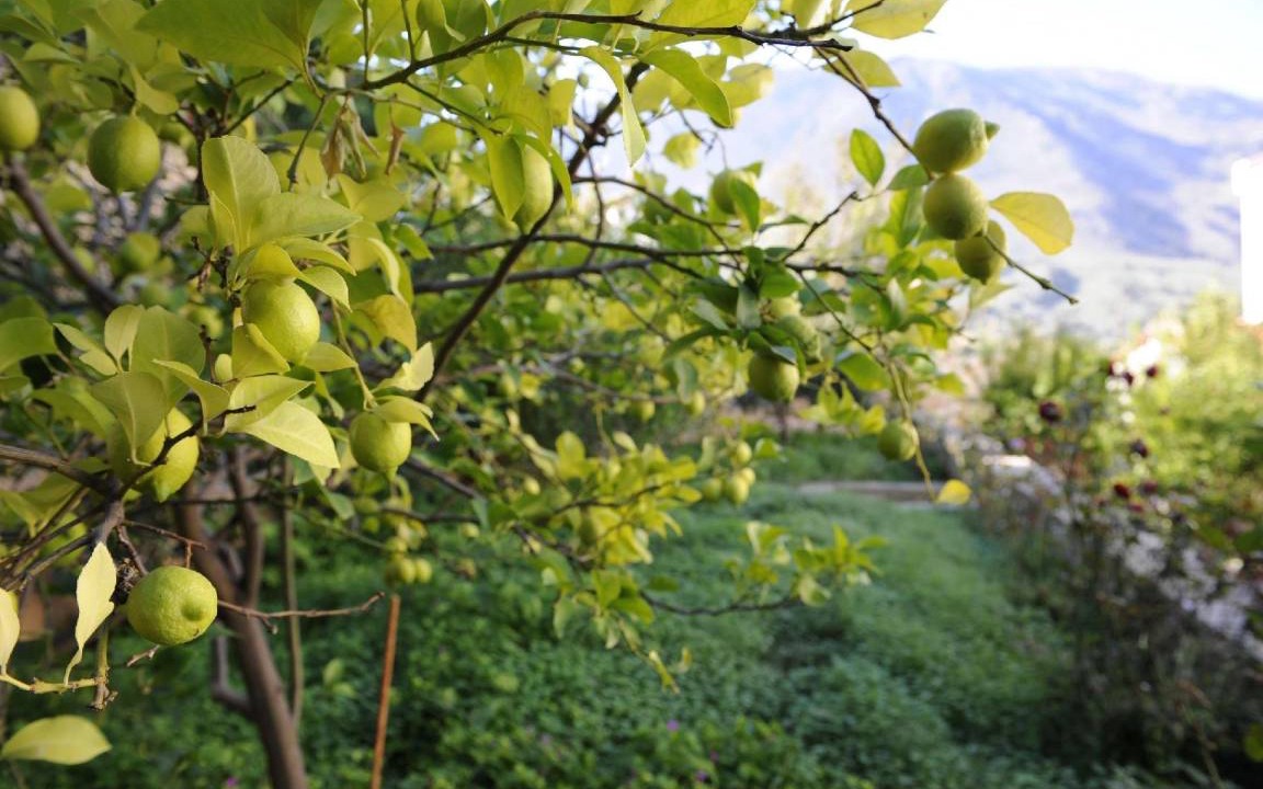 Photo of Outdoor in Kavallos