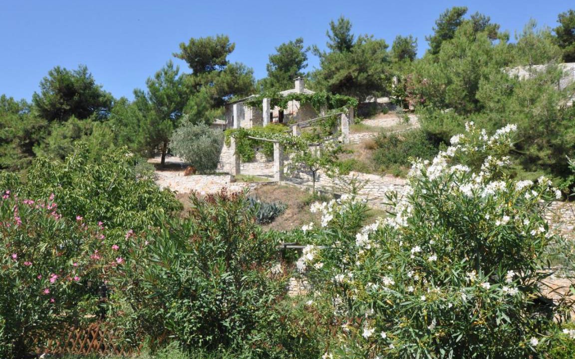 Photo of Others in Limenaria