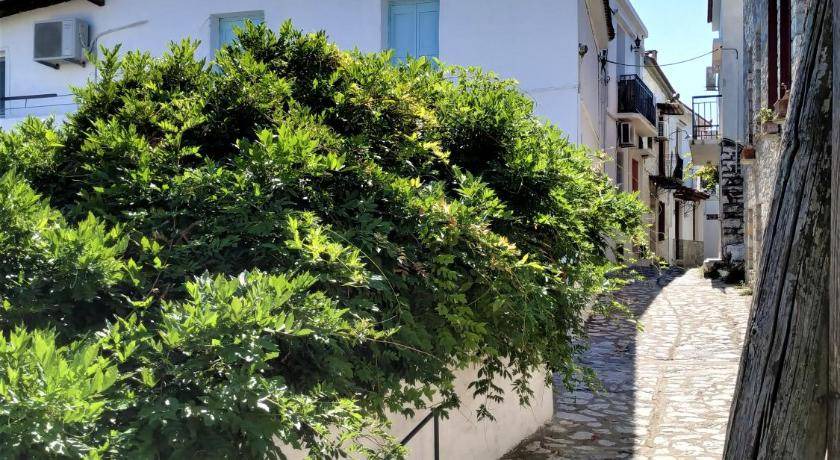 Photo of Others in Skiathos