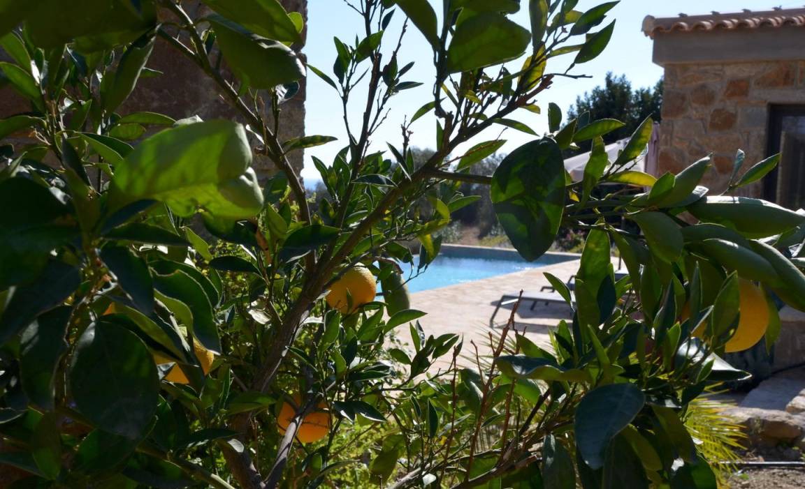 Photo of Others in Pylos-Nestoras