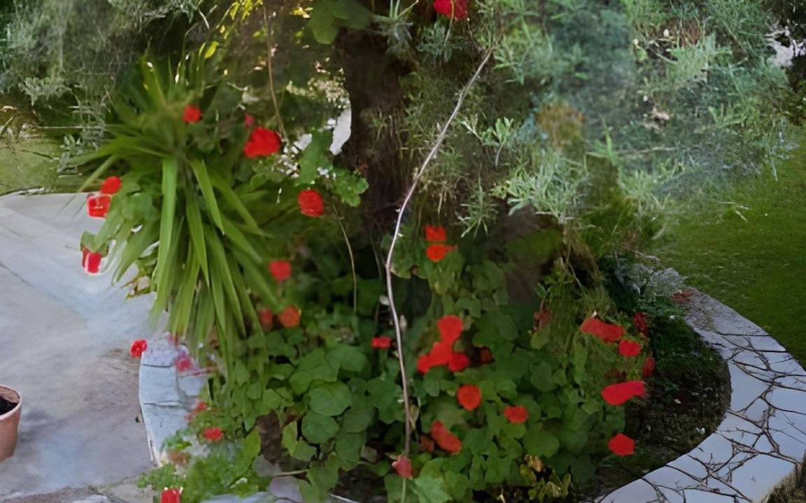 Photo of Others in Agios Ioannis