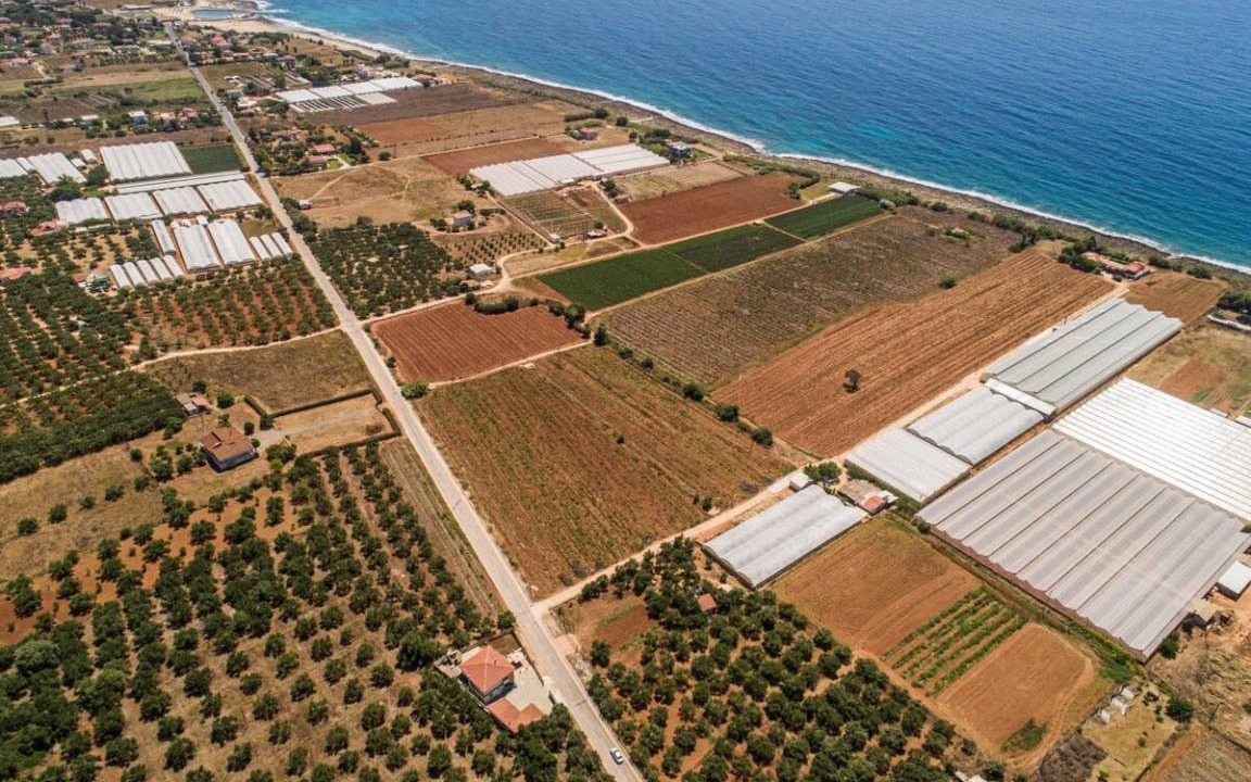 Photo of Others in Agrilos