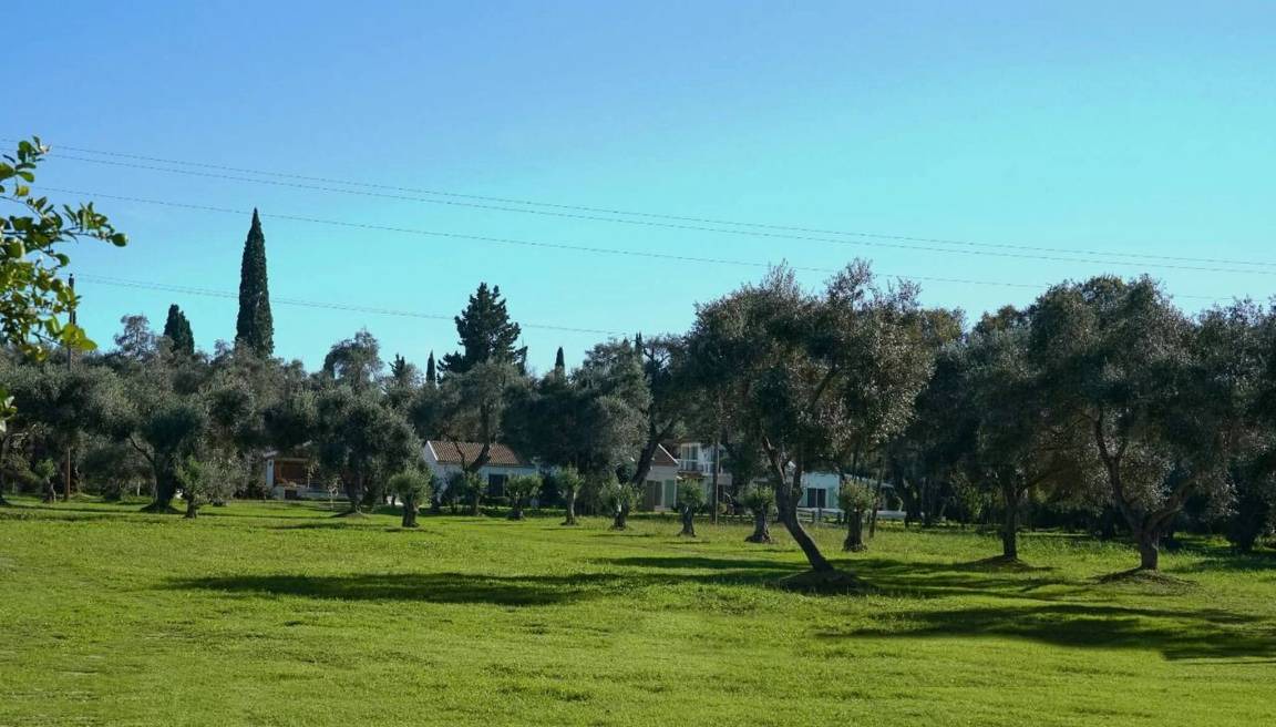 Photo of Others in Molos