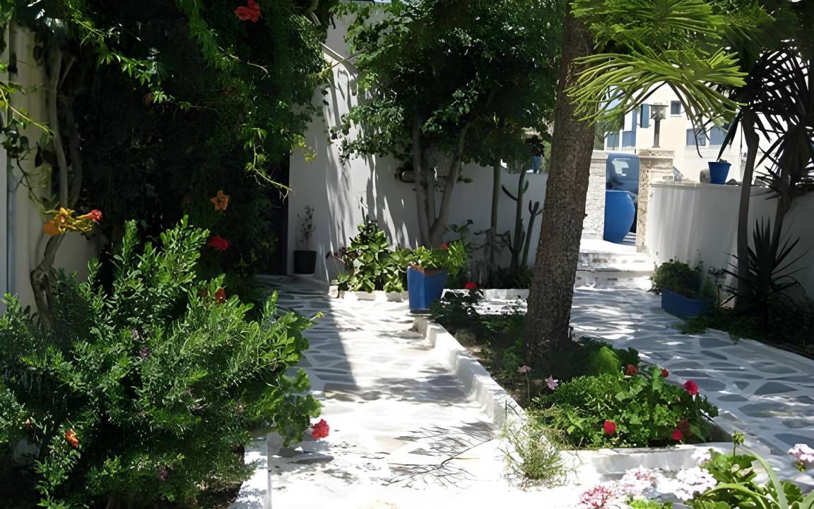 Photo of Others in Adamas
