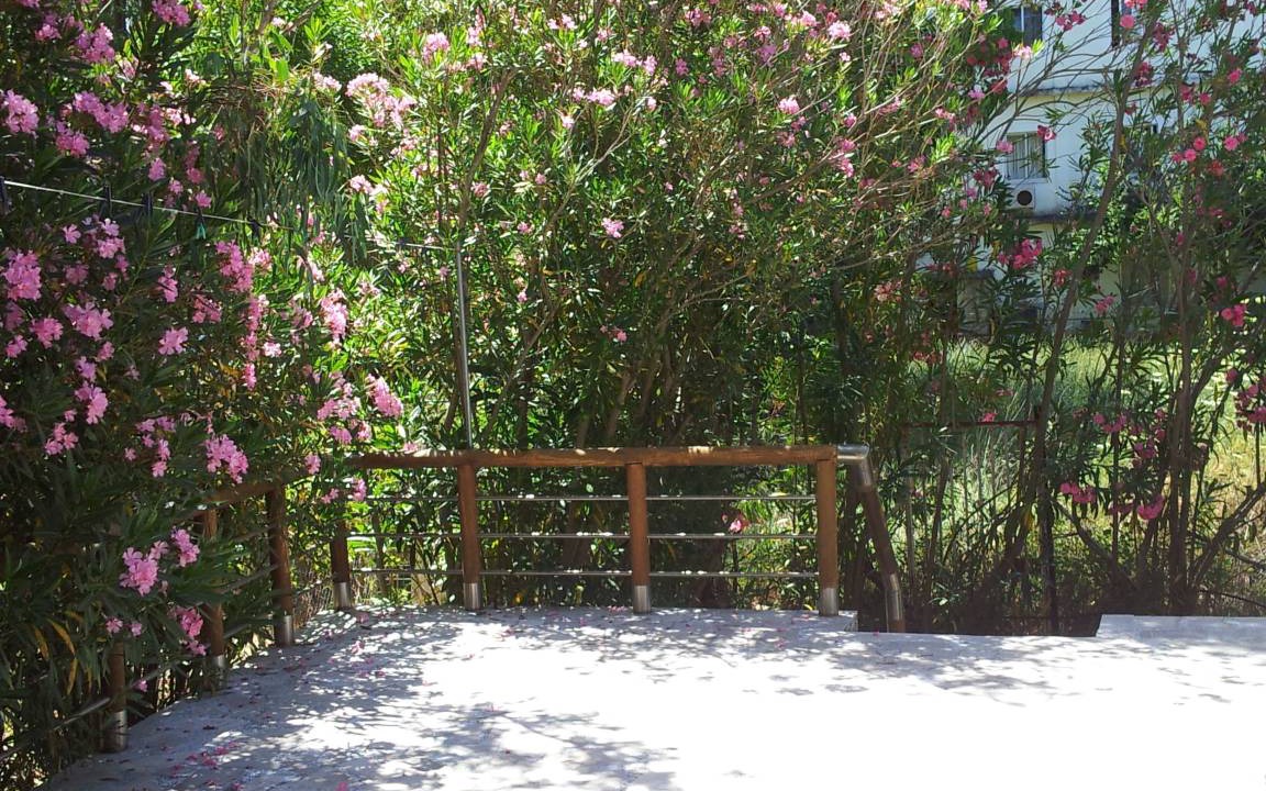 Photo of Others in Agios Andreas