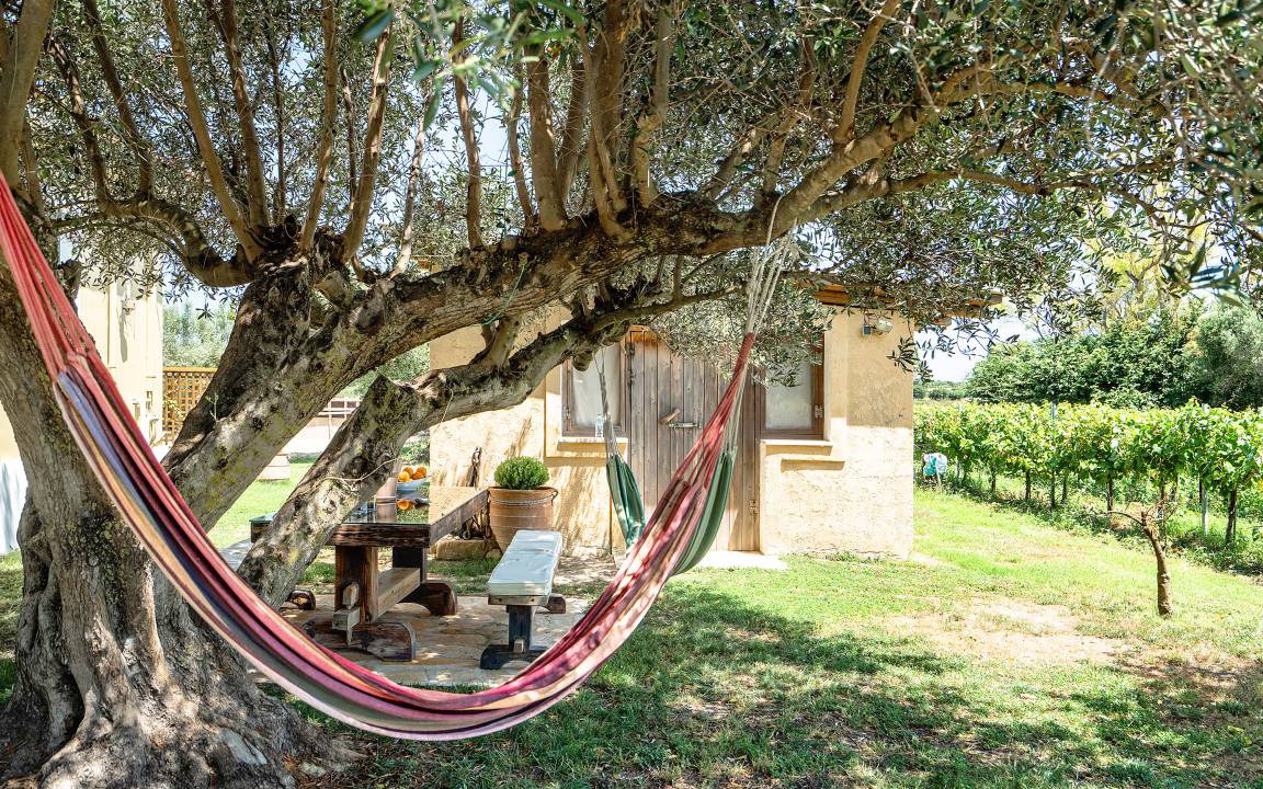 Photo of Others in Kefalonia