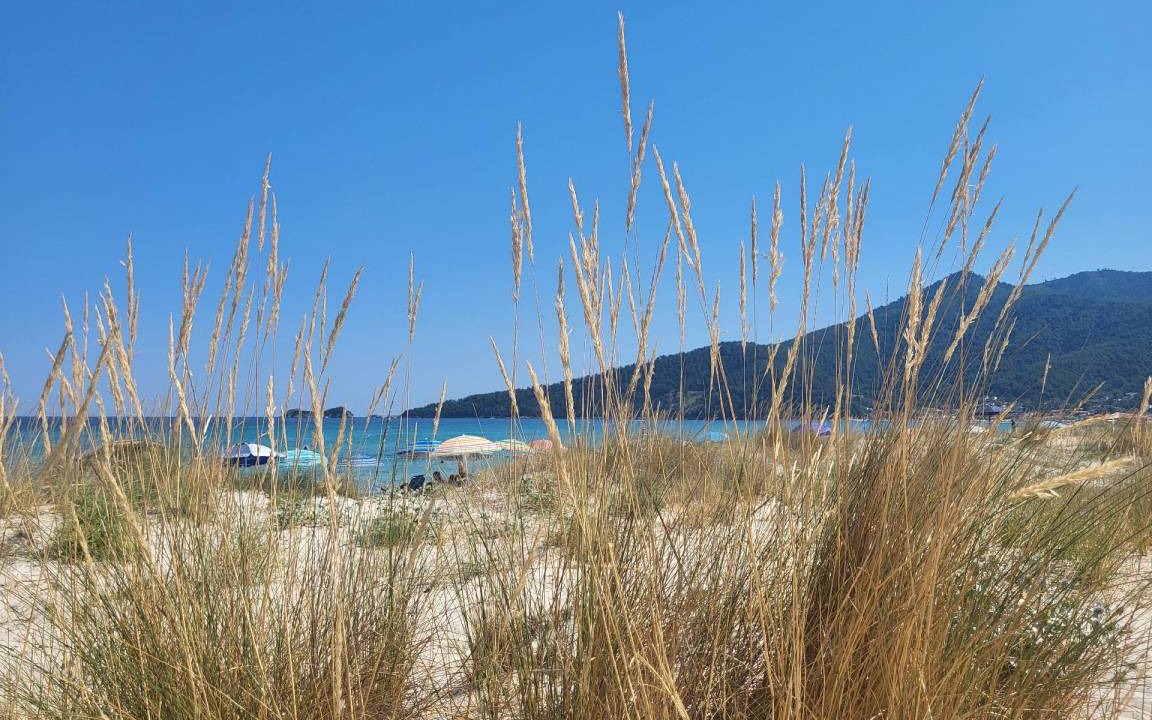 Photo of Others in Skala Potamias