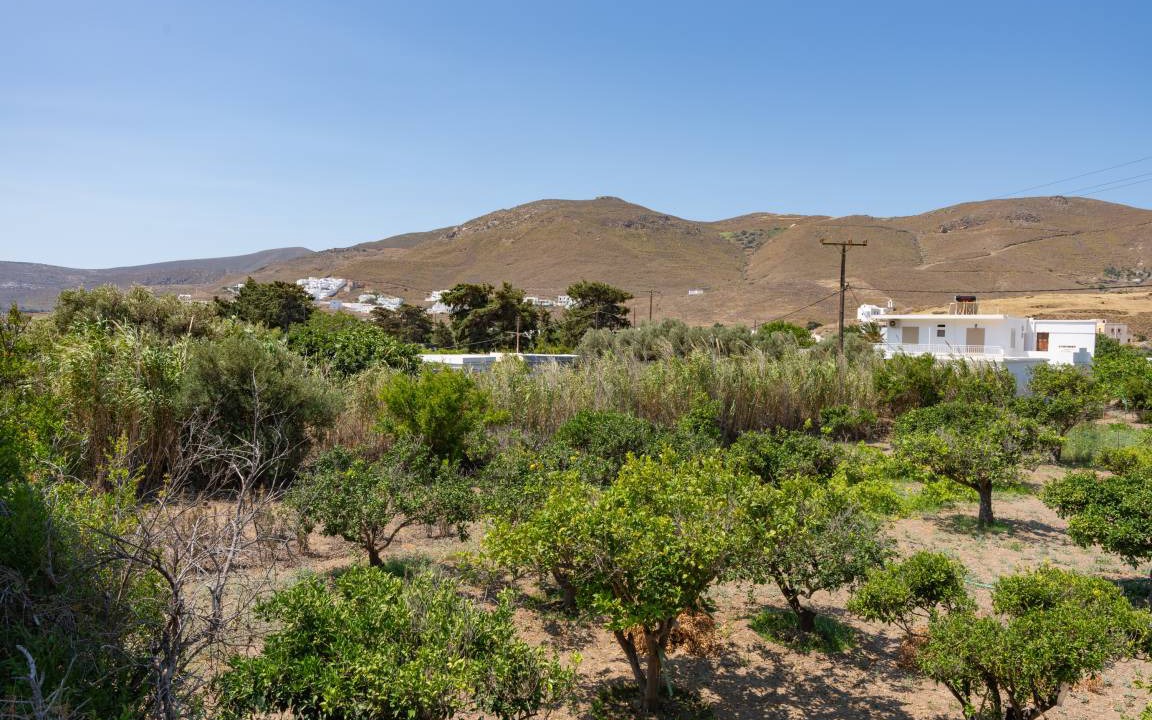 Photo of Others in Astypalaia