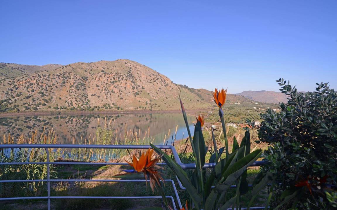 Photo of Others in Kavallos