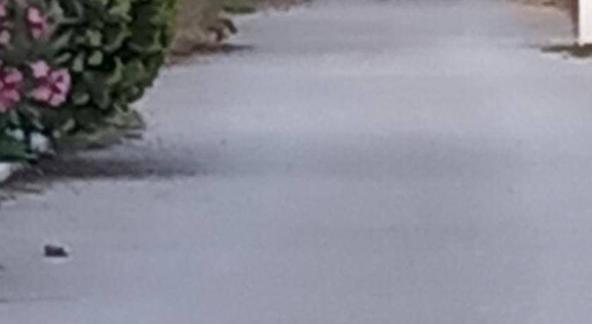 Photo of Others in Nea Makri