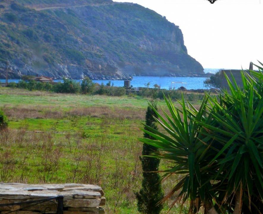 Photo of Others in Kea