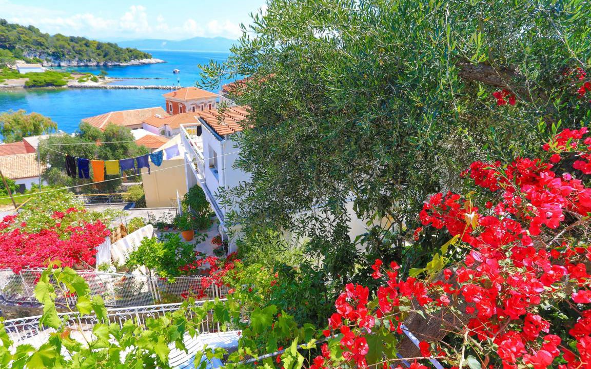 Photo of Others in Gaios