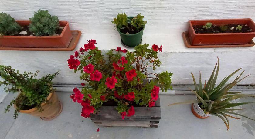 Photo of Patio Balcony in Nea Makri