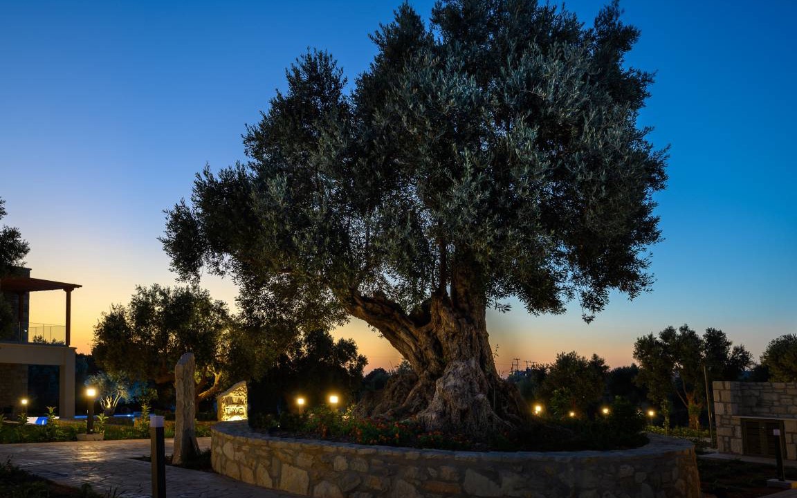 Photo of Outdoor in Prinos