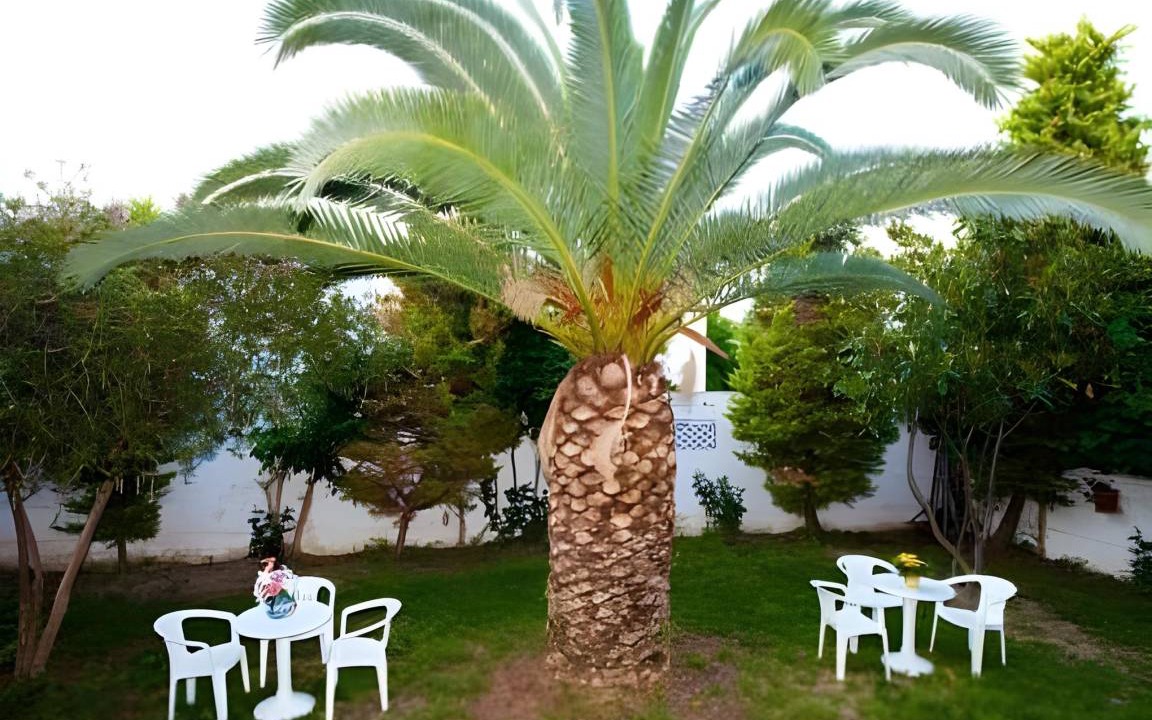 Photo of Others in Skiathos Town
