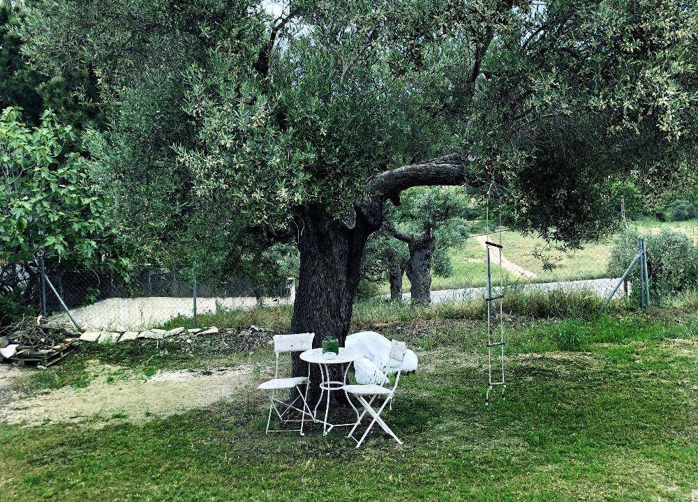 Photo of Others in Sithonia
