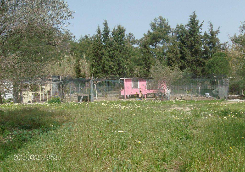 Photo of Others in Kallithea