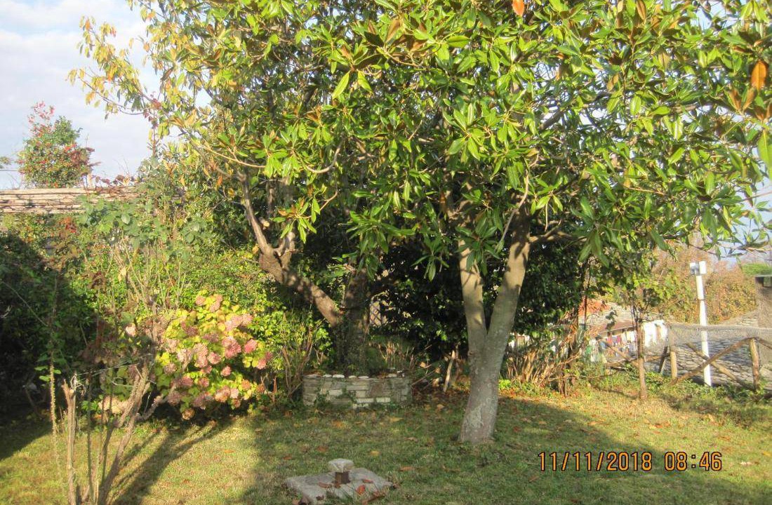 Photo of Others in Dhrepanon