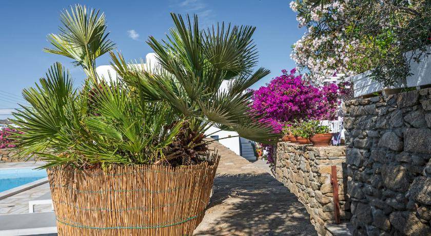 Photo of Others in Mykonos
