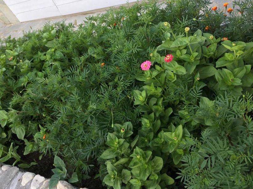 Photo of Outdoor in Sithonia