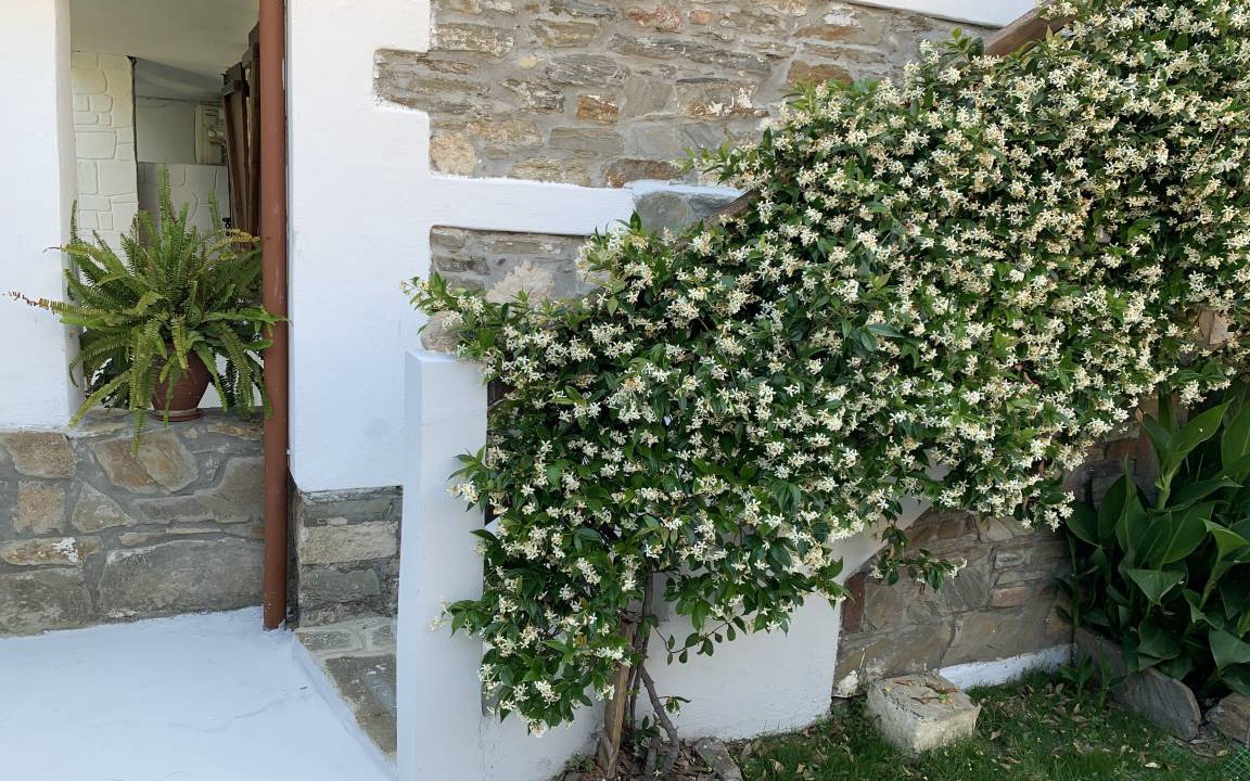 Photo of Others in Agios Nikolaos